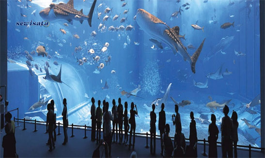 Oceanographic Museum Monaco