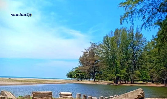 Pantai Rancong