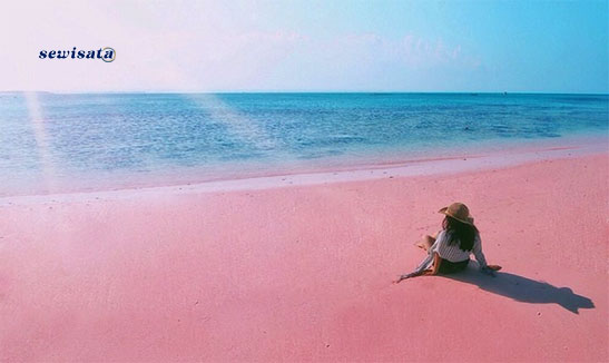 Pink Beach Lombok