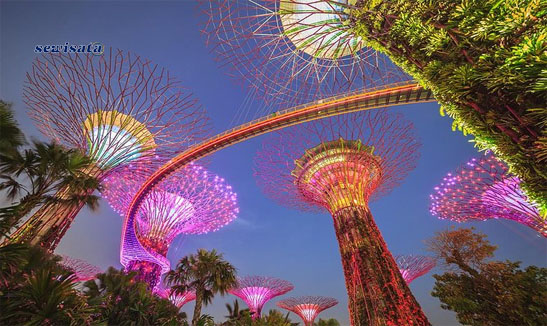 Marina Bay Sands & Gardens by The Bay