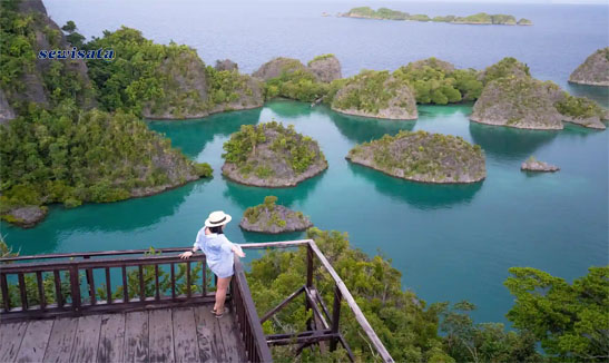 Sewisata Raja Ampat