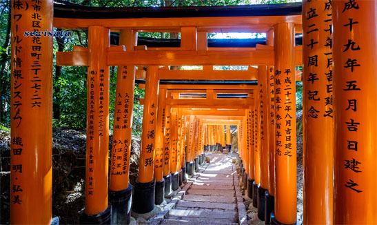 Kasuga Taisha Shrine