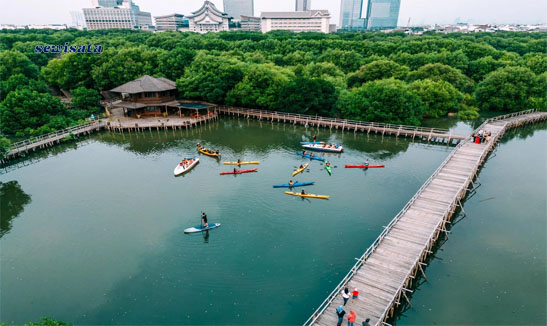 Sewisata Taman Wisata Alam Mangrove