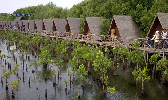 Sewisata Taman Wisata Alam Mangrove
