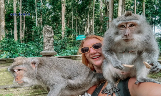 Ubud Monkey Forest