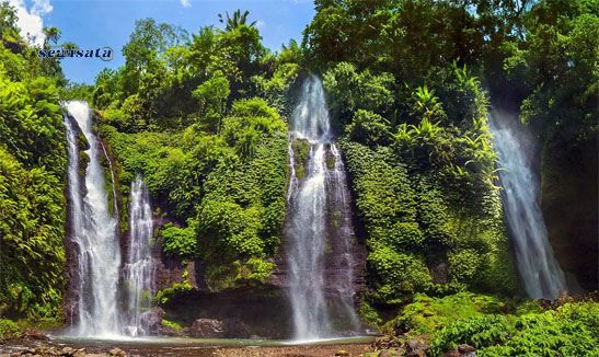 Sewisata Air Terjun Sekumpul