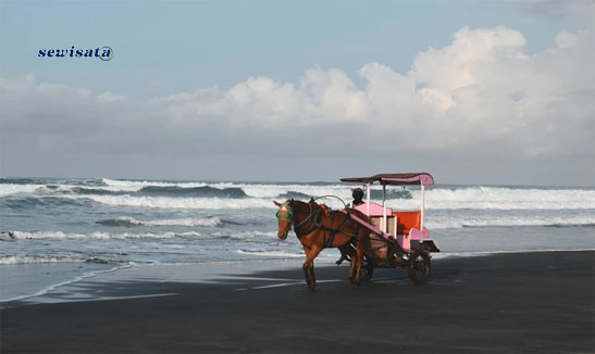 Sewisata Pantai Parangtritis – Yogyakarta