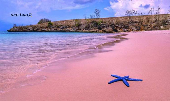 Sewisata Pink Beach – Lombok