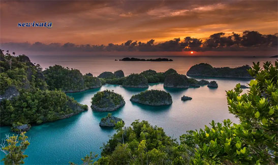 Sewisata Raja Ampat
