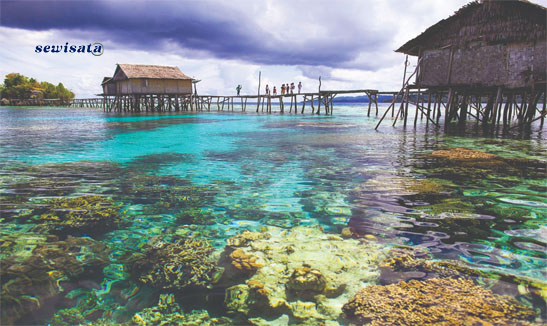 Sewisata Togian Islands – Sulawesi Tengah